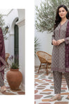 Tawakkal ARSHI STITCHED  3 Pieces (D-2997 | Dusty Ash Grey)